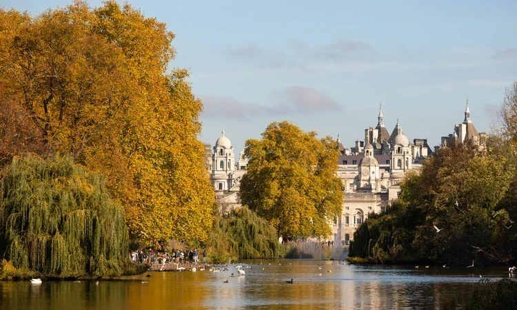 Autumn in St. James's Park