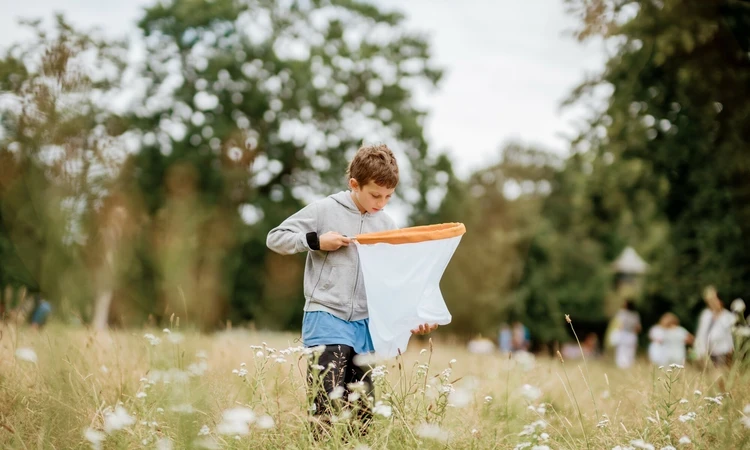 Child meadow sweeping in Hyde Park