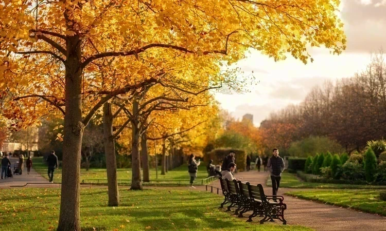 Autumn in The Regent's Park