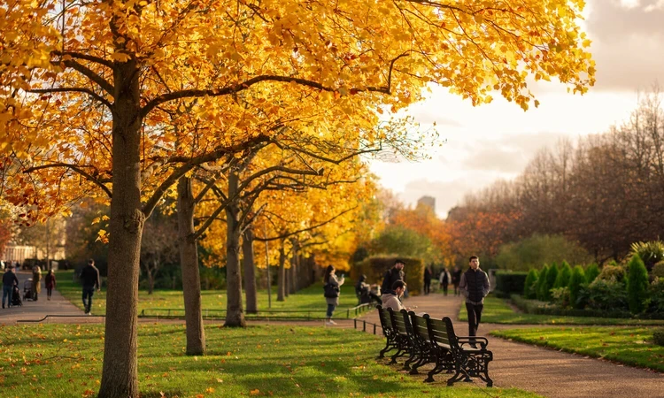 Autumn in The Regent's Park