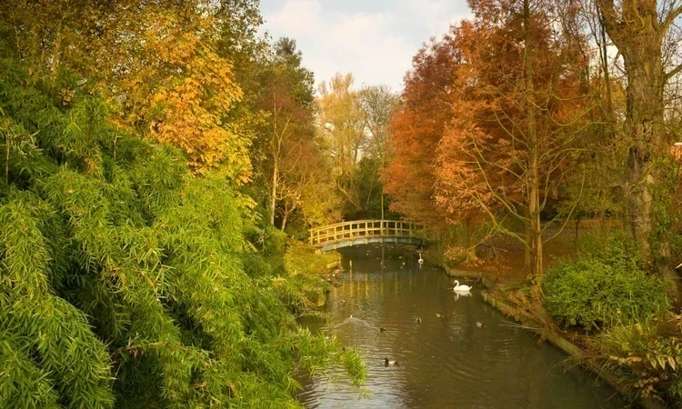 Autumnal trees in green orange and yellow and a waterway in the middle and a bridge crossing it. 