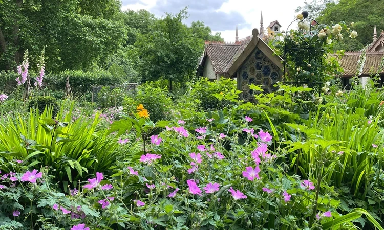 Pink geraniums, foxgloves (Digitalis purpurea) and other wildflowers at Duck Island