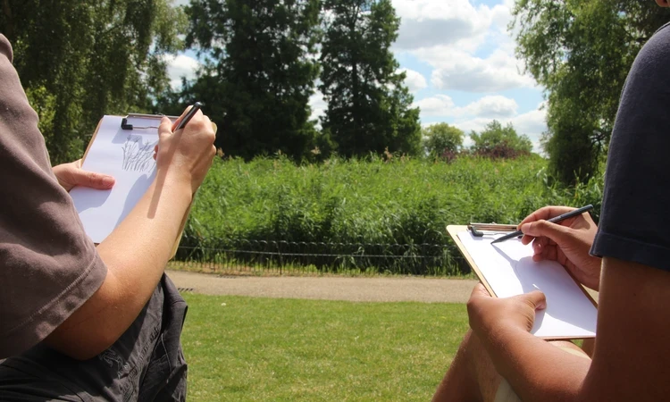 Two people sketching on clipboards with pencils on a sunny day in The Regent's Park