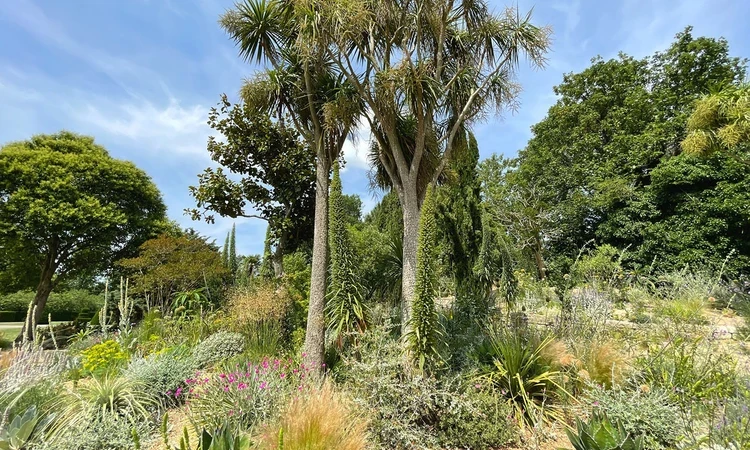 Climate resilient planting