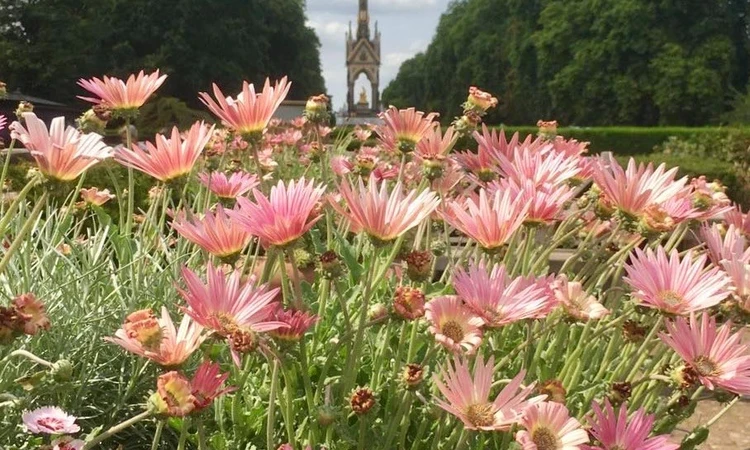 View across to the Albert Memorial from Hyde Park.