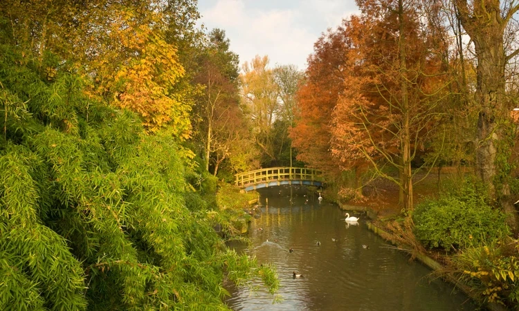 Autumn in The Regent's Park