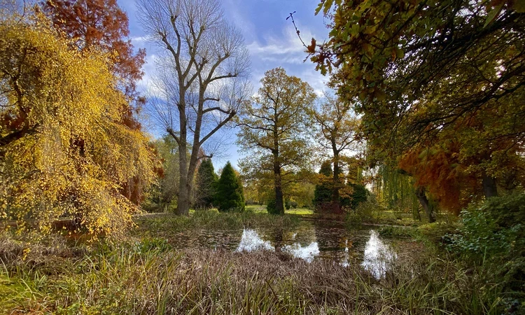 Autumn landscape with colorful trees in shades of yellow, orange, and green surrounding a still pond, reflecting the sky and branches.