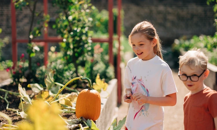 Autumn celebrations in Greenwich Park