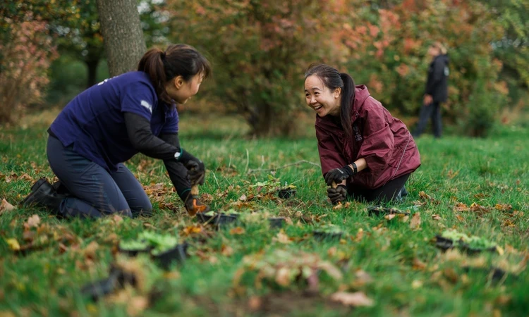 Two women planting bulbs and chatting