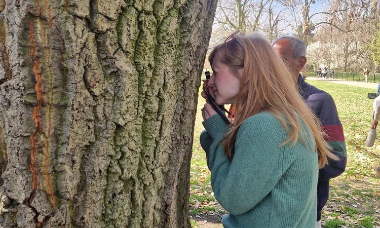 Looking close at tree bark