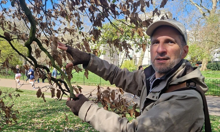 Dr. Anthony Speca on a lichen walk