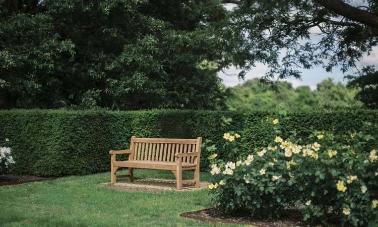A bench set in amongst hedges and rose beds.