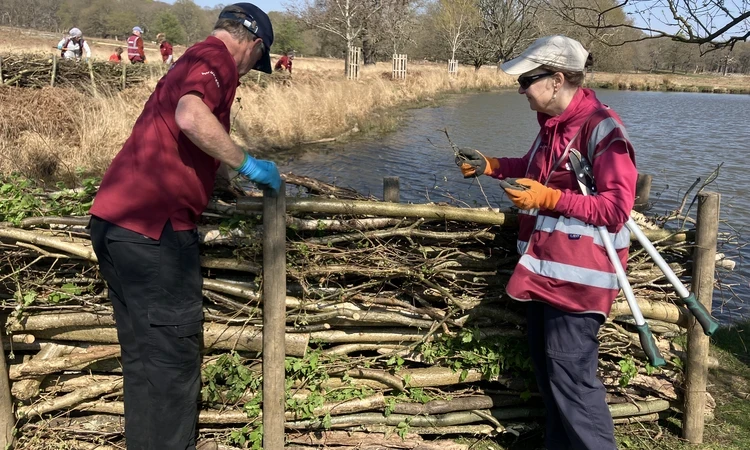 Slow the Flow project volunteers fence building with natural logs