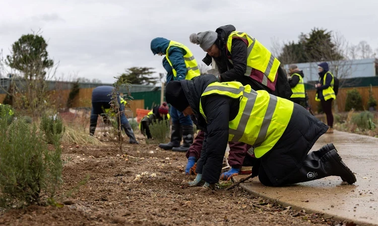 Public planting in The Regent's Garden