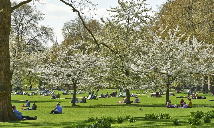 Spring in St. James's Park