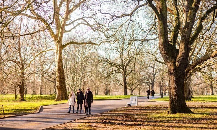 People walking in Hyde Park in winter