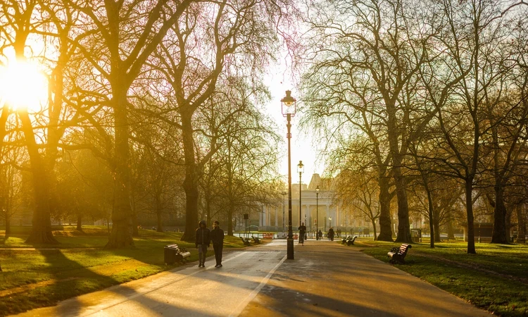 Hyde Park Broad Walk in winter
