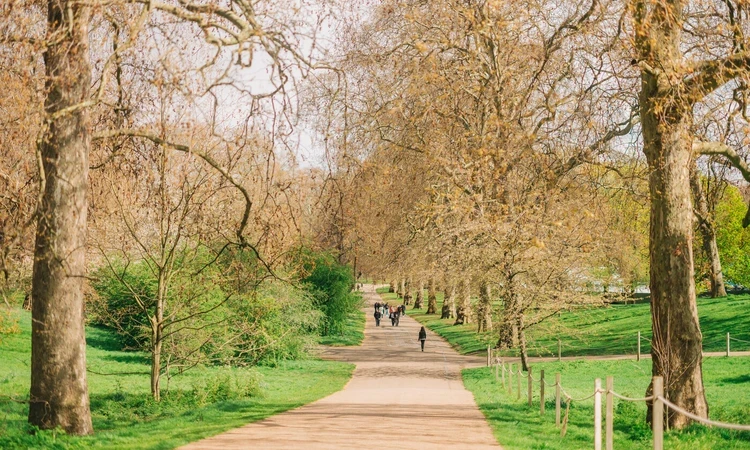 Spring in St. James's Park