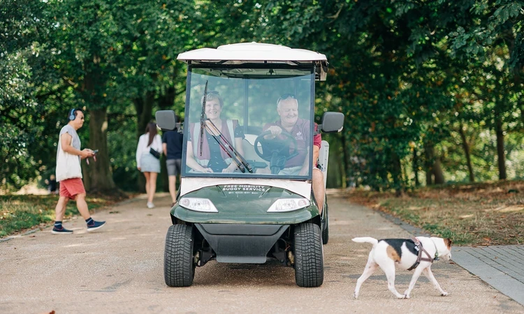 Dog passing in front of an electric buggy in the park