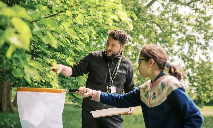 A schoolgirl being taught how to catch insects in a net by a Learning Officer