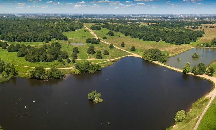 Panoarmic aerial view of Pen Ponds in Richmond Park
