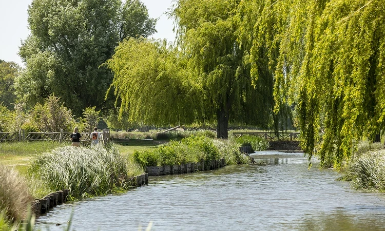 Leg of Mutton Pond in early summer