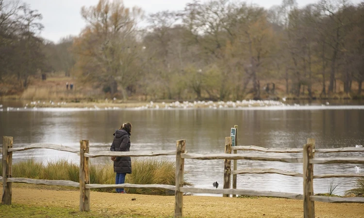 A walker at Pen Ponds
