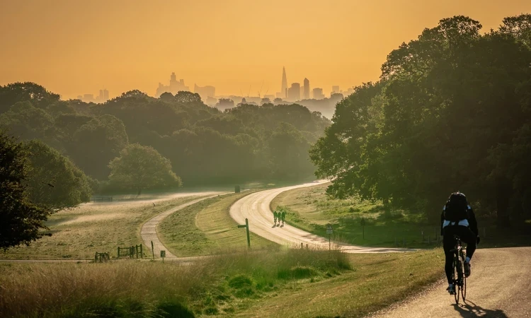 Sunrise on pathway through Richmond Park with wide city views