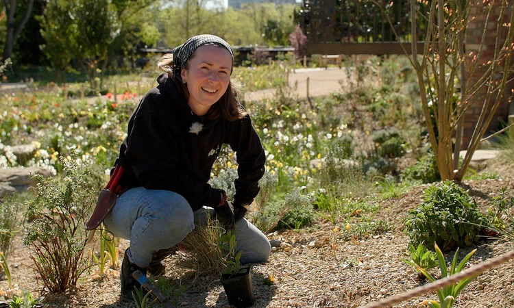 Head Gardener, Fiona Packe