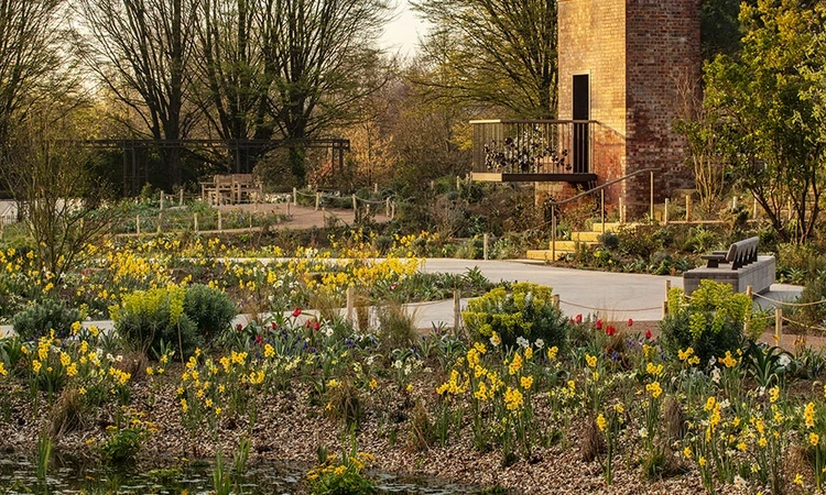 Wildflowers surround the converted water tower