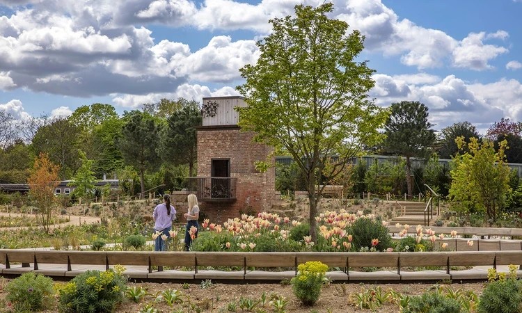 Magnolias were one of the late Queen's favourite trees