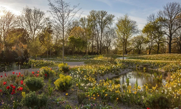 The Queen Elizabeth II Garden blooming in spring