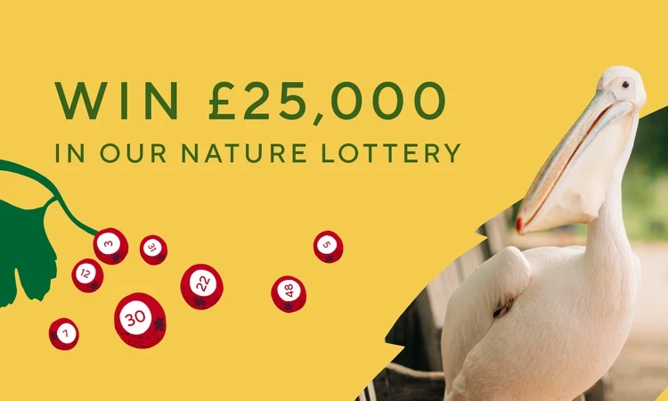 Nature Lottery promotional image