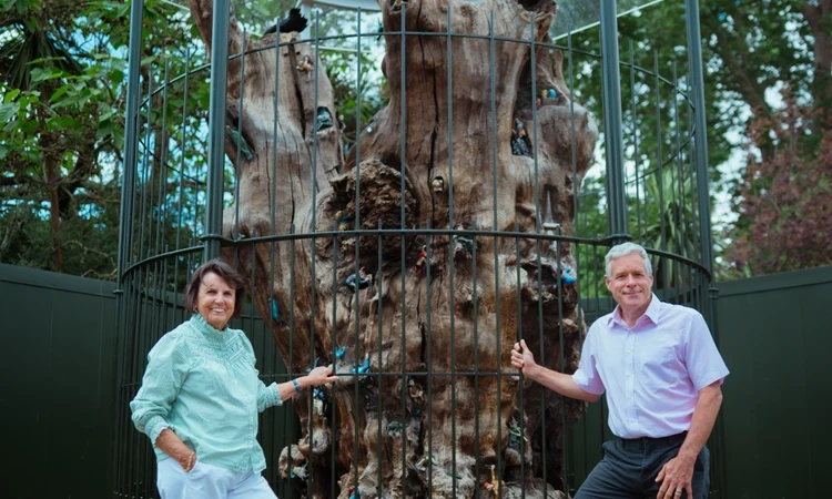 The improved Elfin Oak enclosure