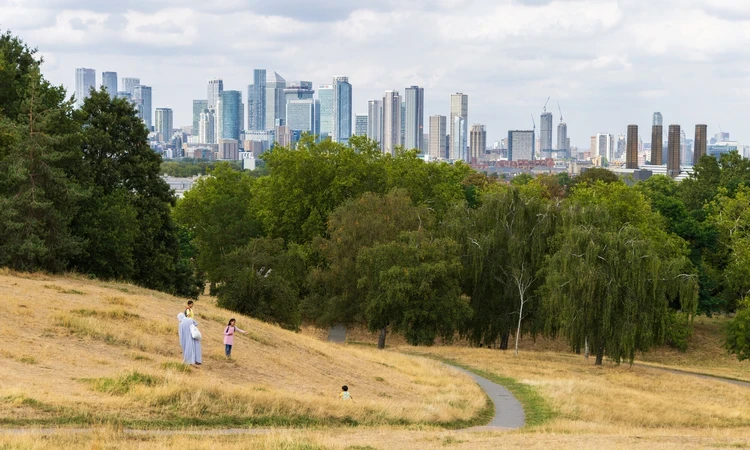 Dry conditions in the parks, with London skyline view in the background