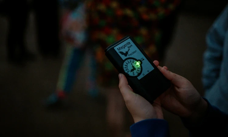A Magenta bat detector is held at night a green light indicates it's on