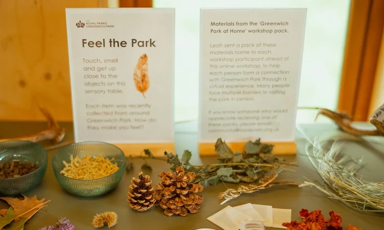 Selection of sensory items from the park