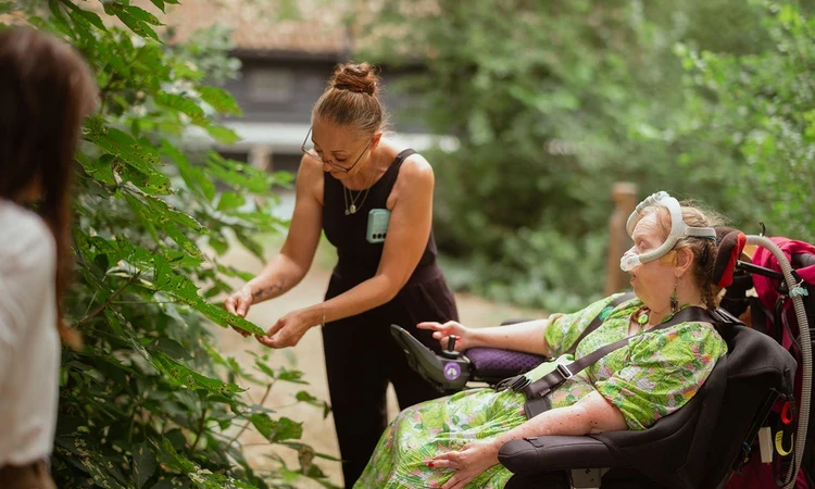 A lady in a wheelchair and her carer feeling the leaves on a tree