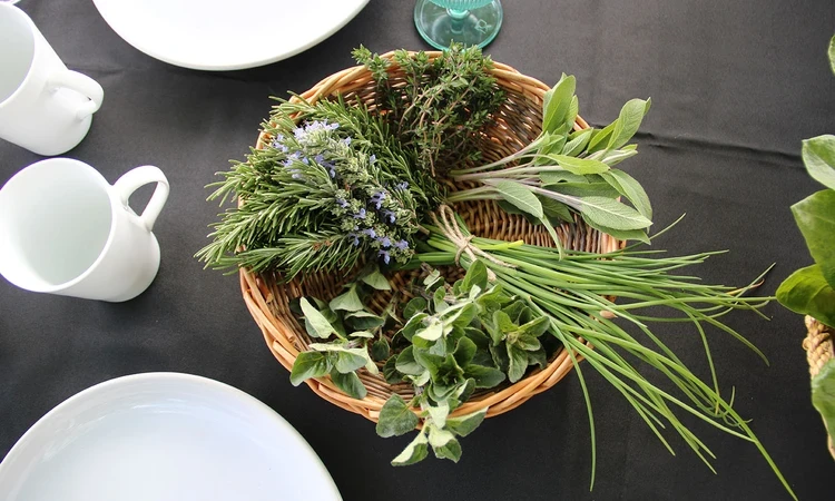 A small selection of plants in a round wicker basket