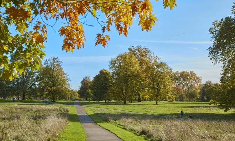 Kensington Gardens in autumn