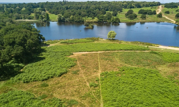 Drone shot of Richmond Park