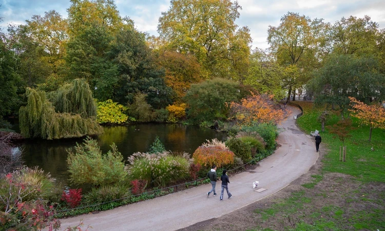 St. James's Park in autumn