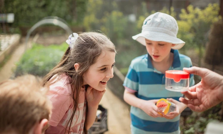 Children getting a closer look at bugs