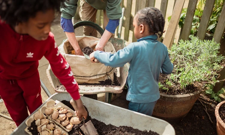 Youngsters digging for potatoes in the allotment