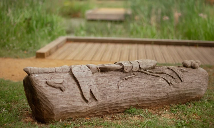 Log with carved insects