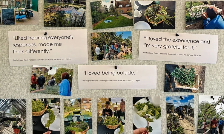 Artist-in-Residence Project photos and feedback