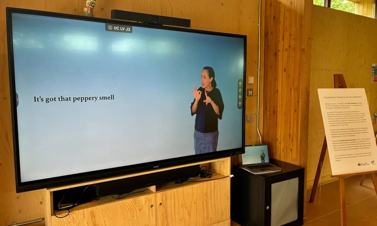 Presentation of 'The Very Alive Part' on a large screen