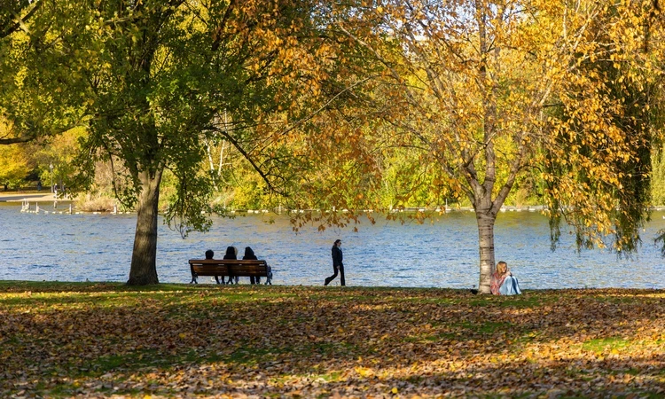 Autumn in the royal parks