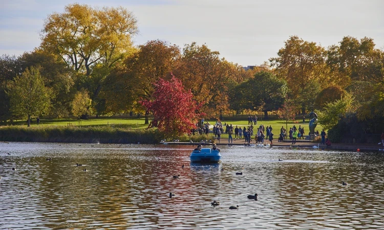 Boating on the Serpentine in autumn