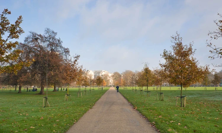 Hyde Park Parade Ground in autumn
